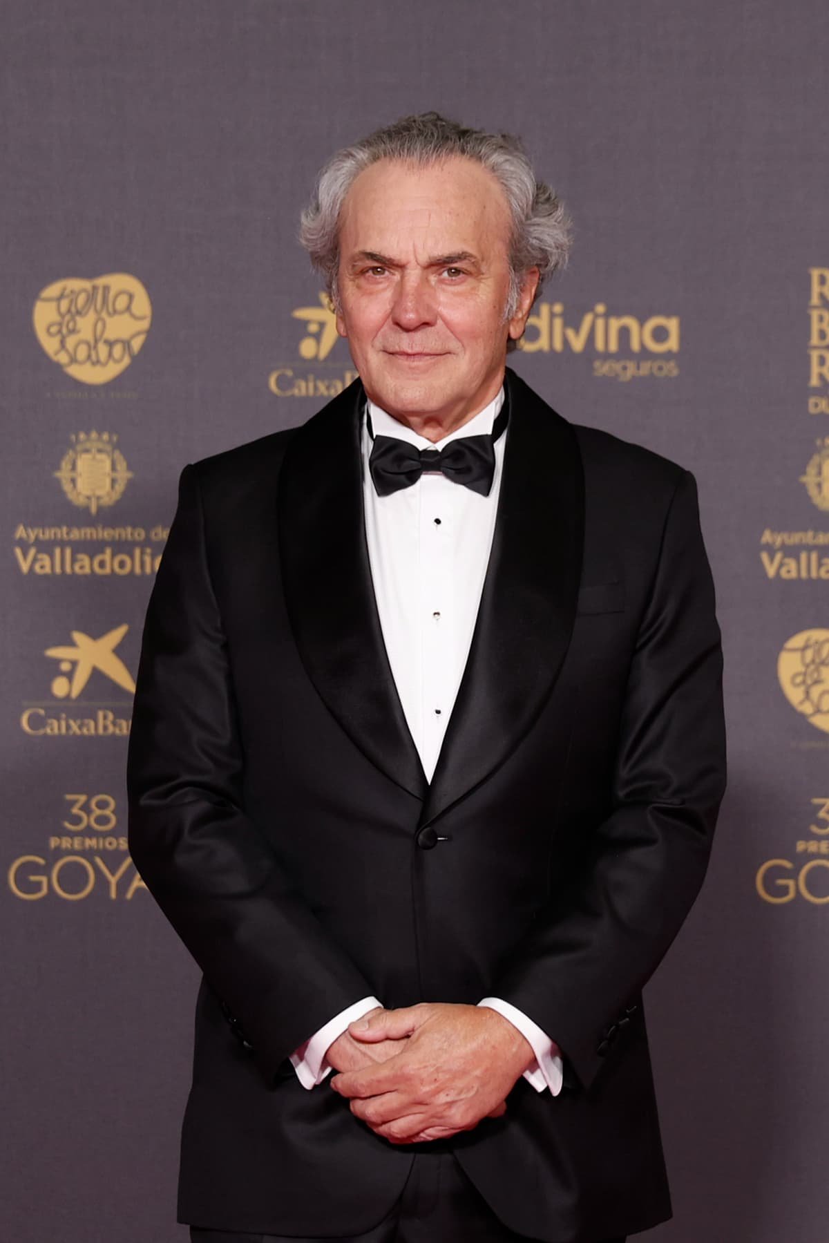 Premios Goya 2024: Todos los looks de la alfombra roja