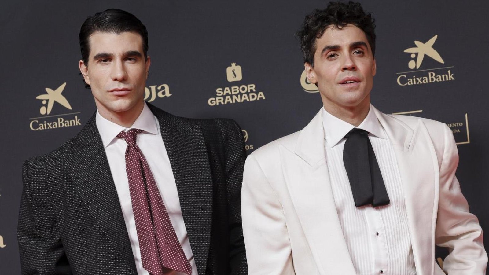 pEl-imperio-de-Los-Javis-Mansion-en-Madrid-y-20-millones-en-activosp Un exconcursante de 'Operación Triunfo', señalado como el posible causante de la ruptura de Los Javis